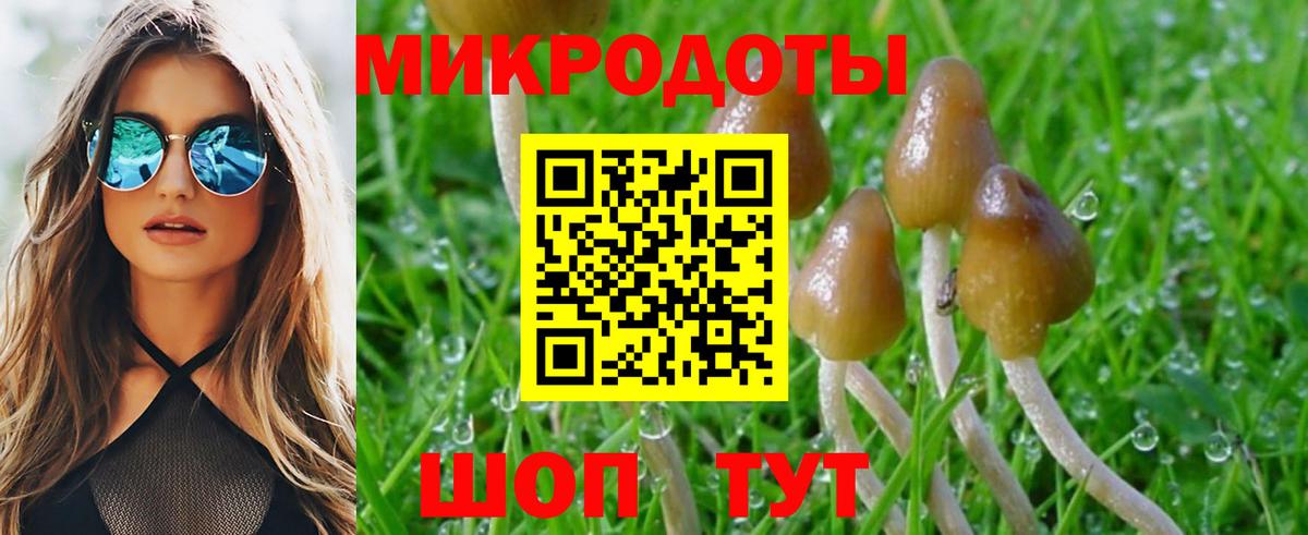 Белогорск  Галлюциногенные грибы MAGIC MUSHROOMS  Вход с VPN  где можно купить наркотик  Псилоцибиновые грибы ЛСД 