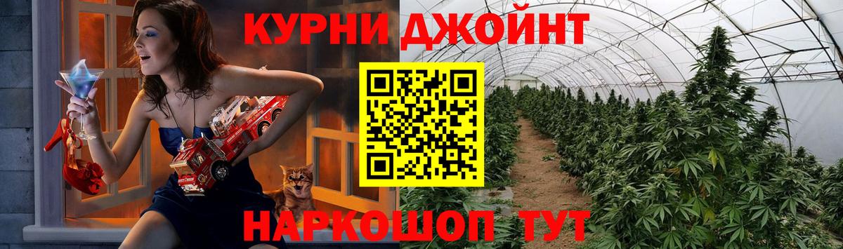 Бошки марихуана семена  МАРИХУАНА Amnesia  Вход с VPN  Каннабис индика  Белогорск 